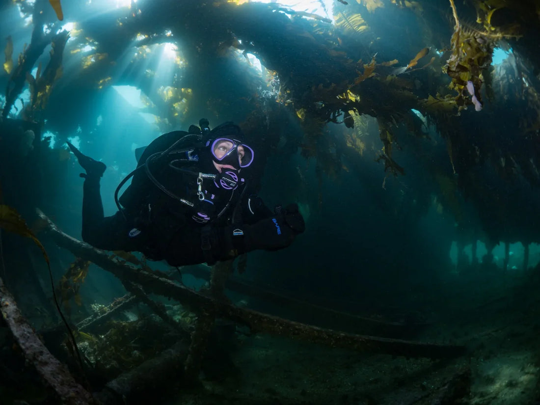 Get “Wrecked” on Vancouver Island - Pacific Pro Dive