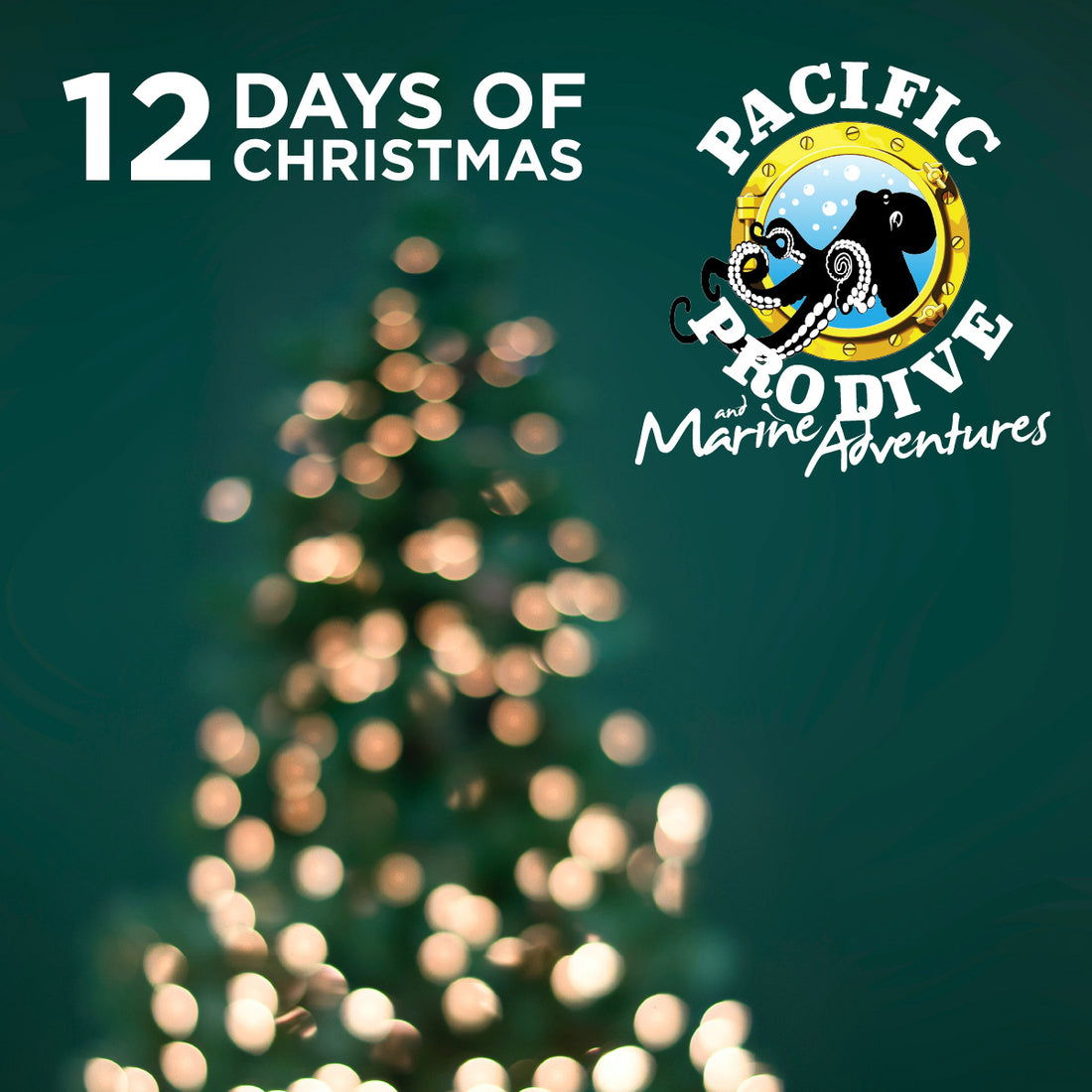 12 Days of Christmas - Pacific Pro Dive