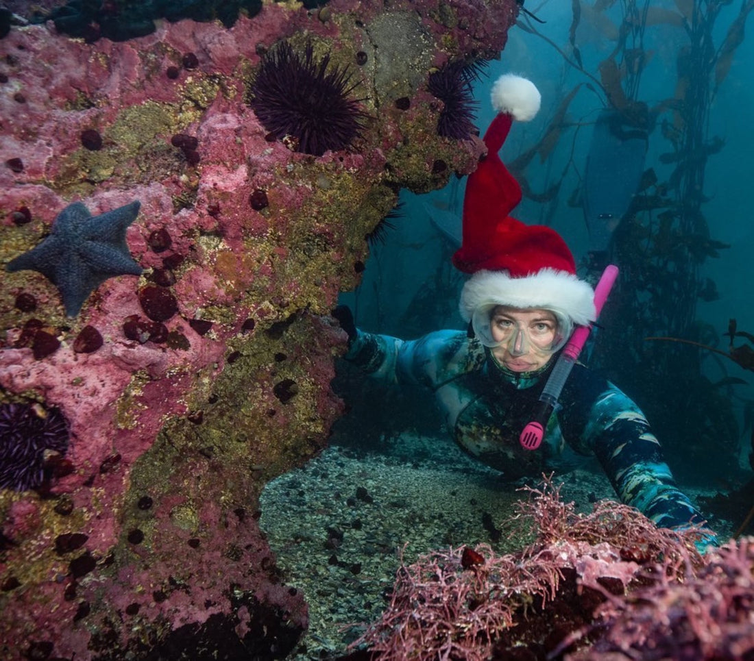 Give the Gift of Diving this Holiday Season - Pacific Pro Dive