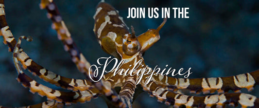 Experience the magic of the Philippines with Pacific Pro Dive!