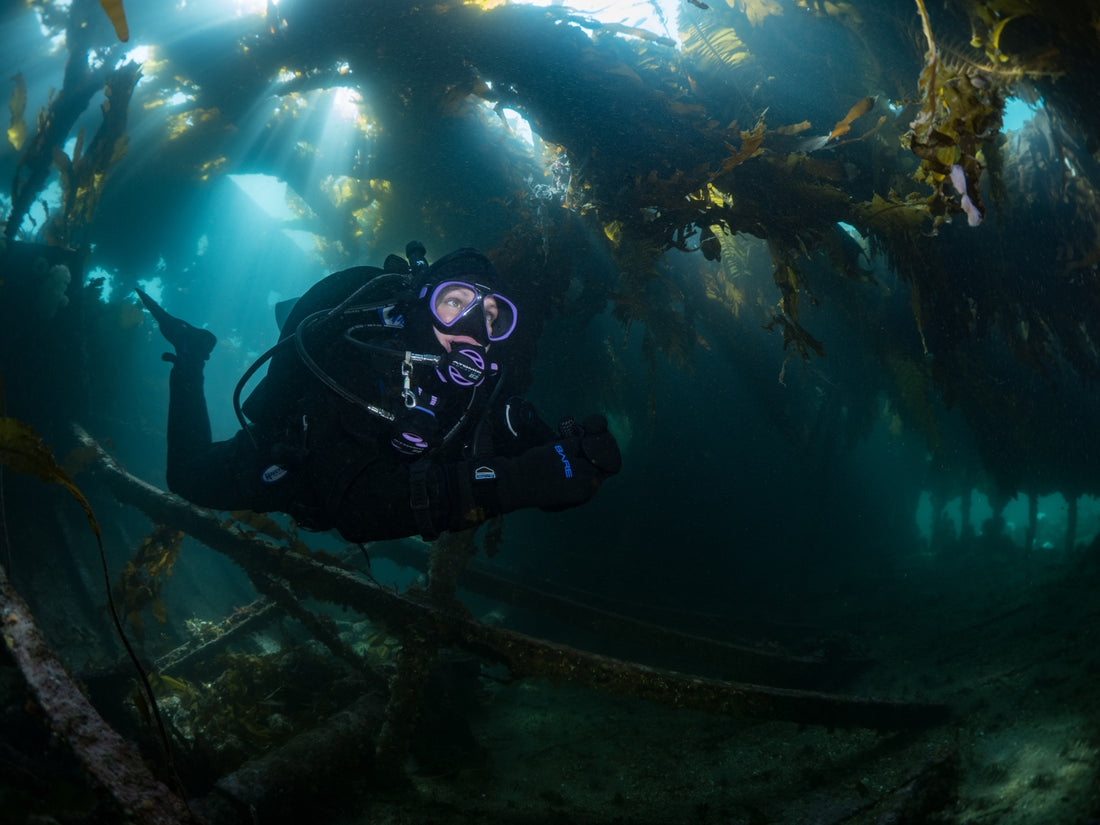 Get “Wrecked” on Vancouver Island - Pacific Pro Dive