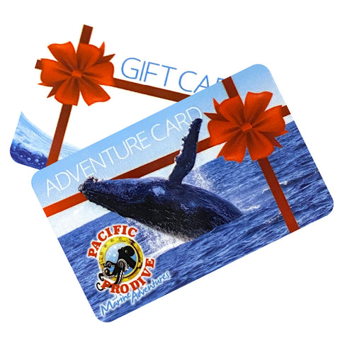 Pacific Pro Dive Gift Card