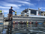 PADI Boat Diver - includes eLearning & Tuition